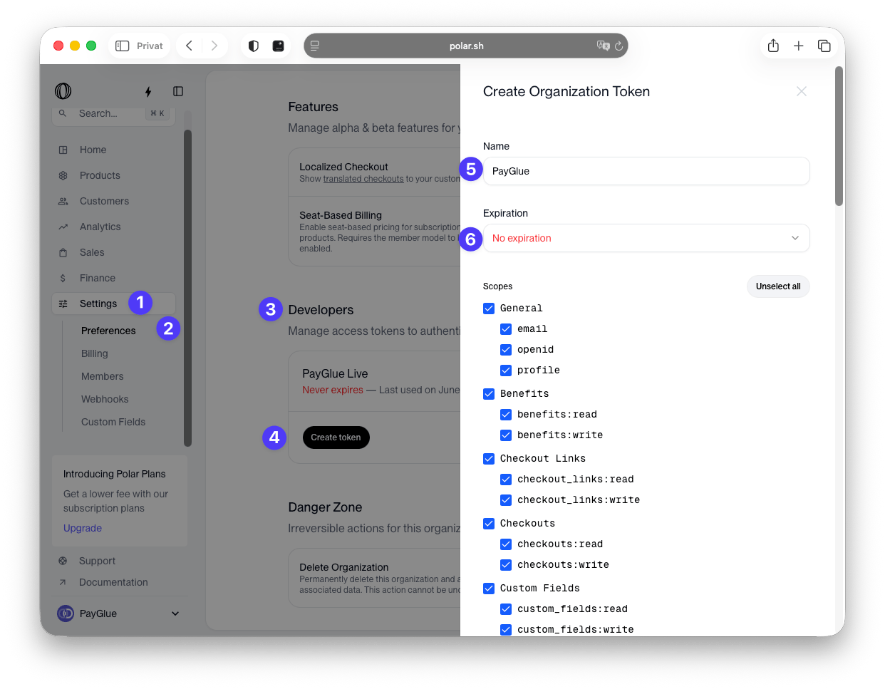 Polar’s developer settings with the API token creation form