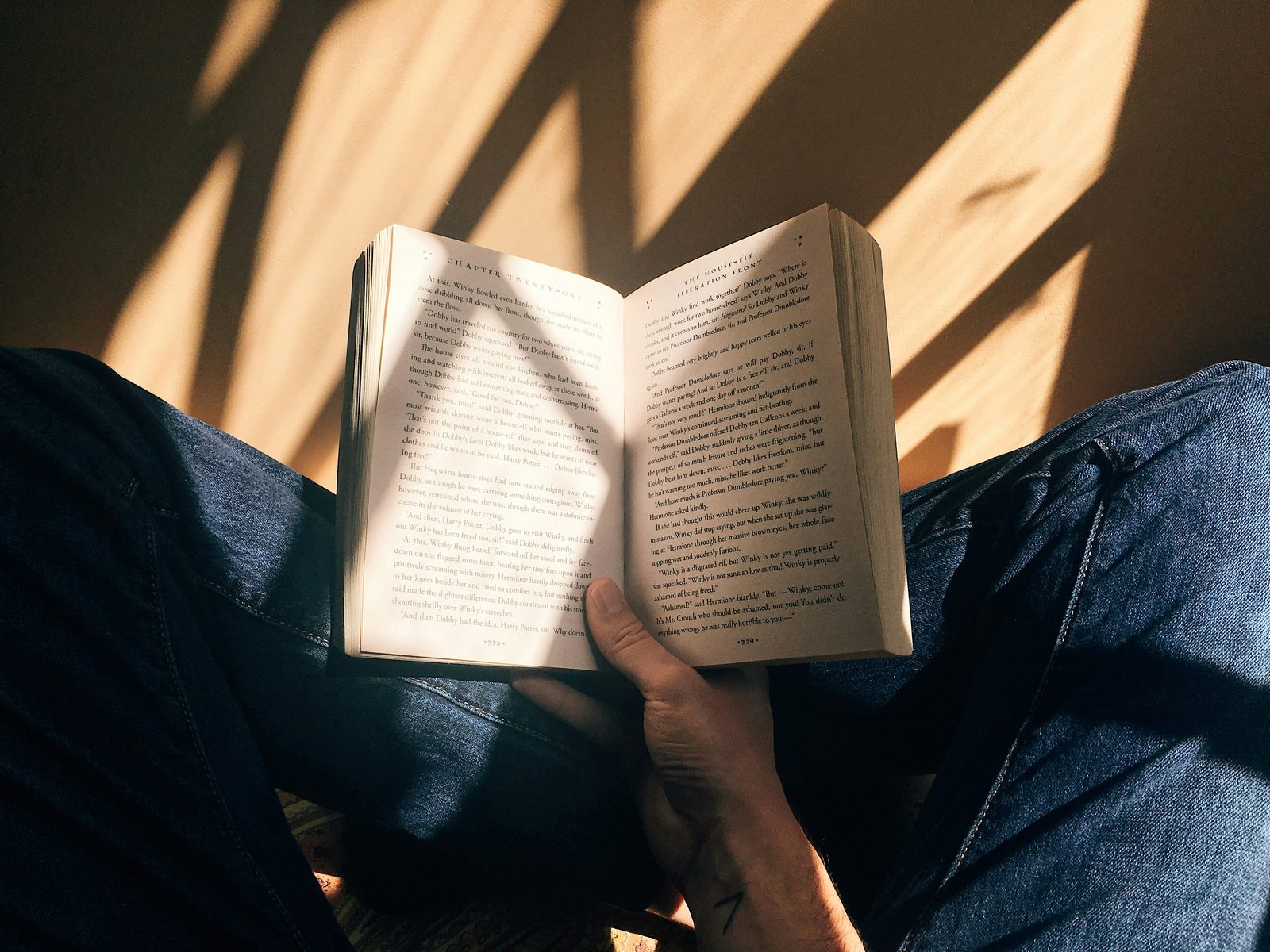 An open book held on somebody's lap, lit by hard afternoon sun through a blind
